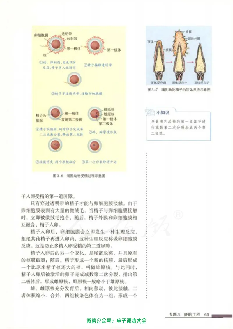 选修3《现代生物科技专题》_高中三年全科资料_高中_高中电子教材_旧教材_高中生物（人教旧版）_高中生物选修1-3（3本）