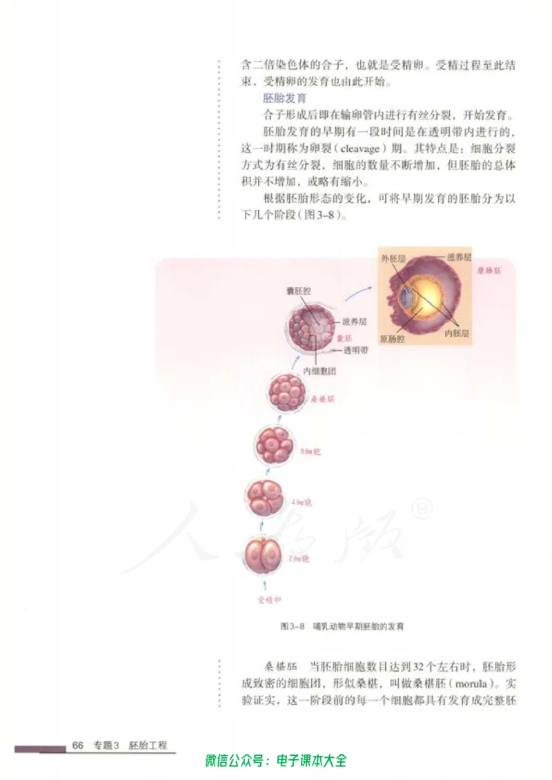 选修3《现代生物科技专题》_高中三年全科资料_高中_高中电子教材_旧教材_高中生物（人教旧版）_高中生物选修1-3（3本）