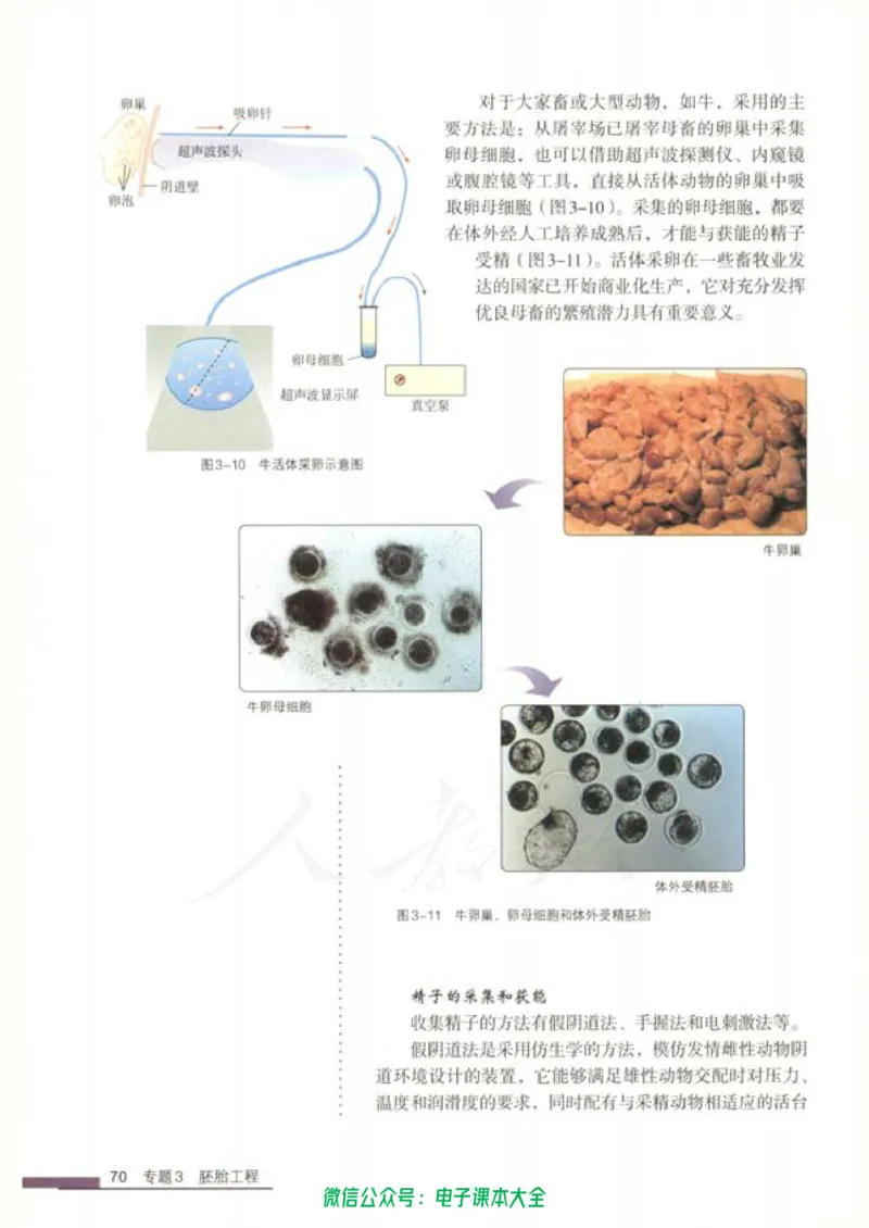 选修3《现代生物科技专题》_高中三年全科资料_高中_高中电子教材_旧教材_高中生物（人教旧版）_高中生物选修1-3（3本）