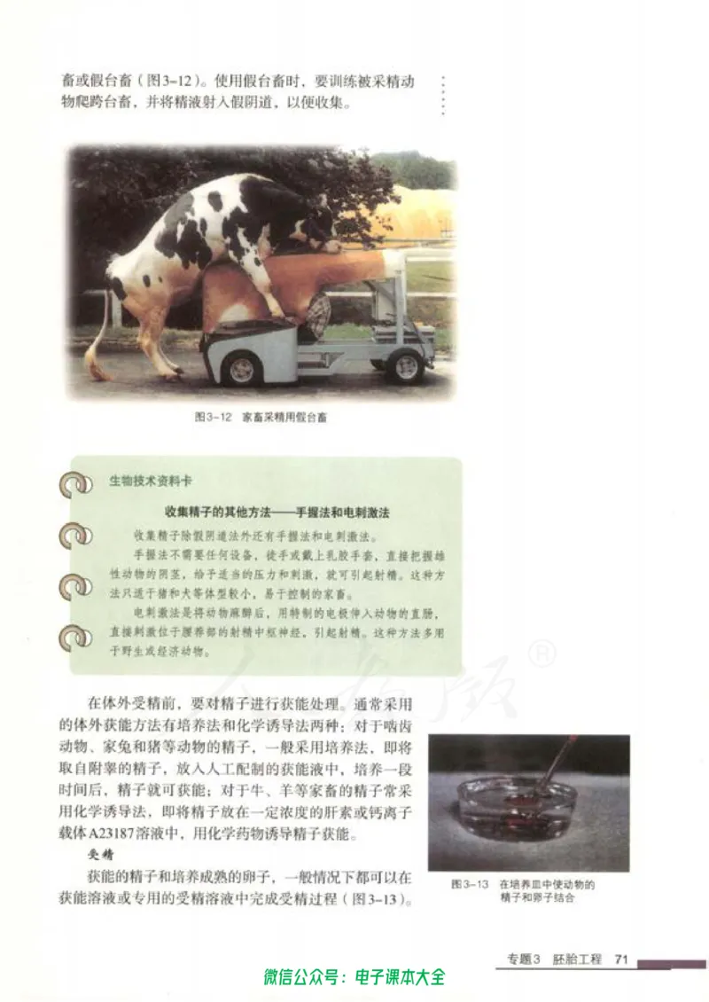 选修3《现代生物科技专题》_高中三年全科资料_高中_高中电子教材_旧教材_高中生物（人教旧版）_高中生物选修1-3（3本）