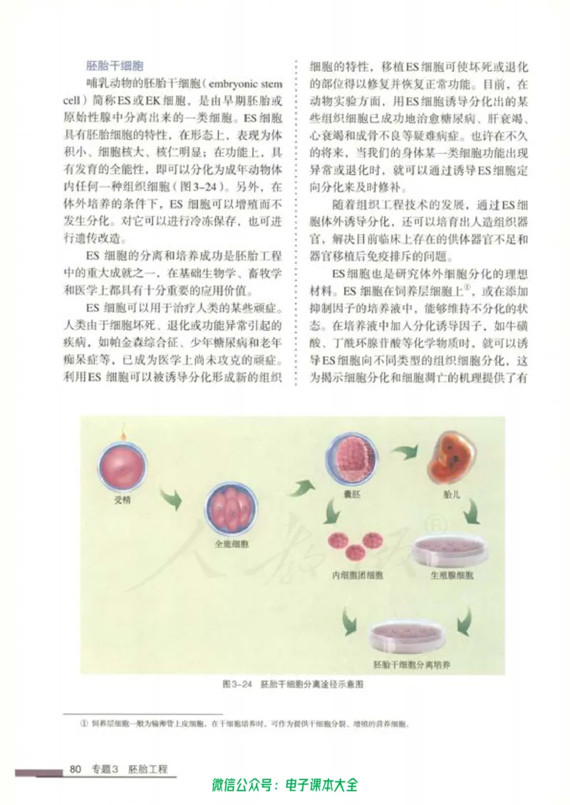 选修3《现代生物科技专题》_高中三年全科资料_高中_高中电子教材_旧教材_高中生物（人教旧版）_高中生物选修1-3（3本）