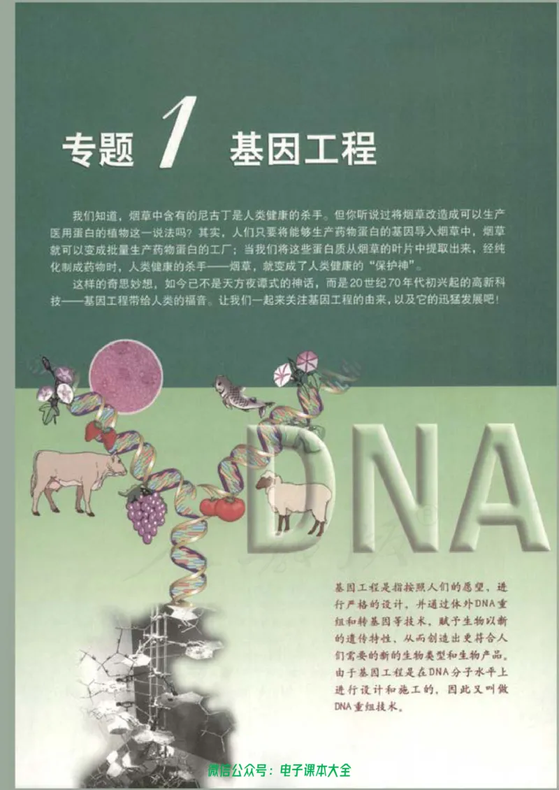 选修3《现代生物科技专题》_高中三年全科资料_高中_高中电子教材_旧教材_高中生物（人教旧版）_高中生物选修1-3（3本）