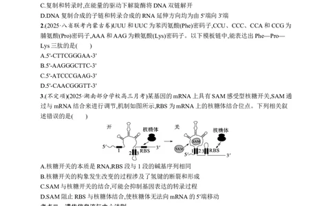 课时规范练30　基因的表达_高中三年全科资料_高中_高中1_2026版《优化设计》新高考版一轮（生物+数学）_2026优化设计一轮复习(生物)_高考总复习优化设计一轮用书生物H配人教版word