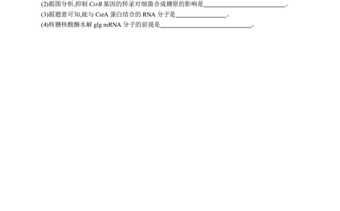 课时规范练30　基因的表达_高中三年全科资料_高中_高中1_2026版《优化设计》新高考版一轮（生物+数学）_2026优化设计一轮复习(生物)_高考总复习优化设计一轮用书生物H配人教版word