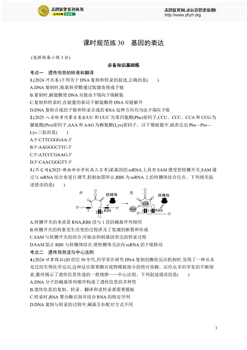 课时规范练30　基因的表达_高中三年全科资料_高中_高中1_2026版《优化设计》新高考版一轮（生物+数学）_2026优化设计一轮复习(生物)_高考总复习优化设计一轮用书生物H配人教版word