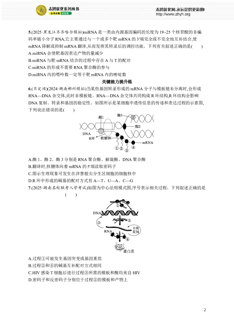 课时规范练30　基因的表达_高中三年全科资料_高中_高中1_2026版《优化设计》新高考版一轮（生物+数学）_2026优化设计一轮复习(生物)_高考总复习优化设计一轮用书生物H配人教版word