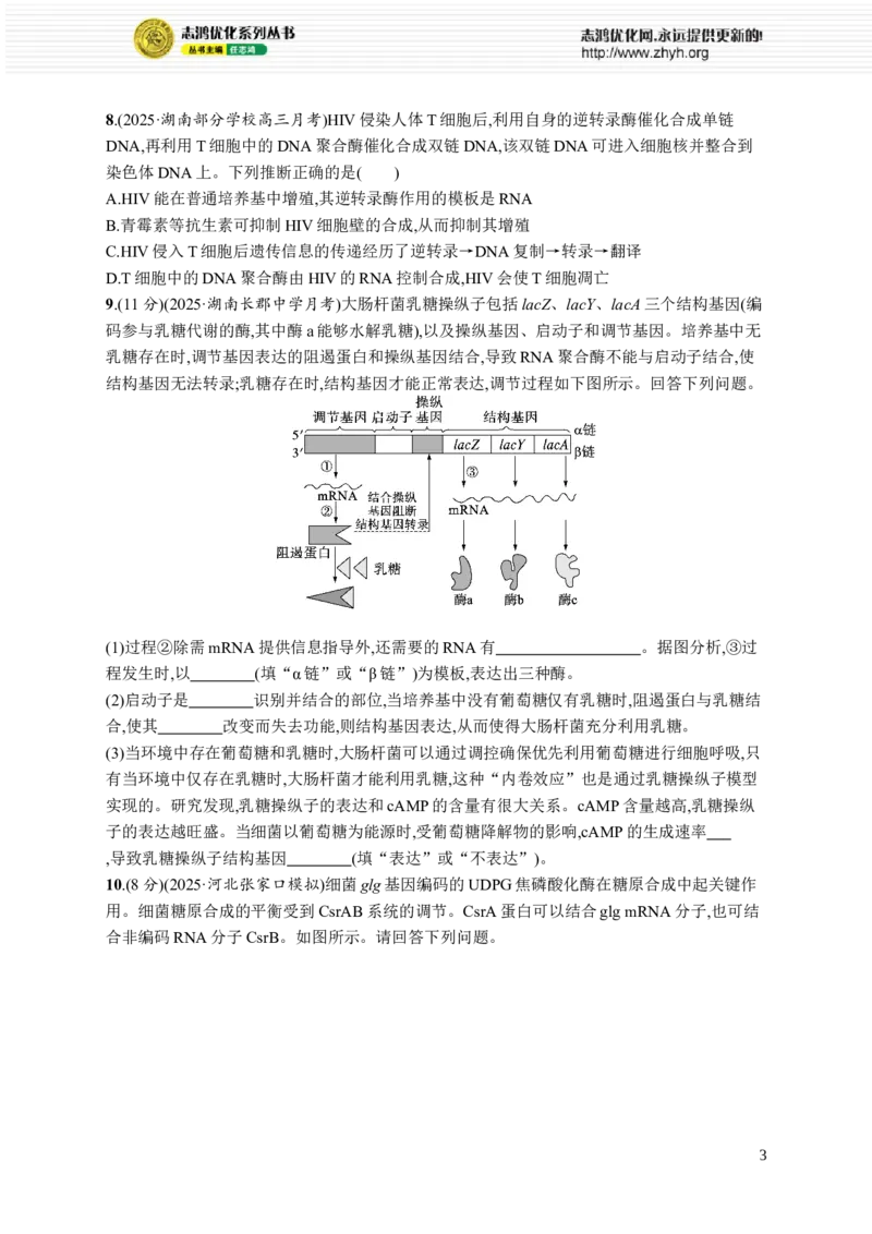 课时规范练30　基因的表达_高中三年全科资料_高中_高中1_2026版《优化设计》新高考版一轮（生物+数学）_2026优化设计一轮复习(生物)_高考总复习优化设计一轮用书生物H配人教版word