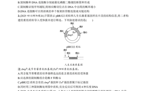 课时规范练60　基因工程的基本工具与操作程序_高中三年全科资料_高中_高中1_2026版《优化设计》新高考版一轮（生物+数学）_2026优化设计一轮复习(生物)_课后习题