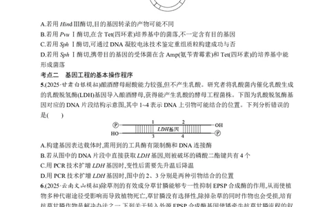 课时规范练60　基因工程的基本工具与操作程序_高中三年全科资料_高中_高中1_2026版《优化设计》新高考版一轮（生物+数学）_2026优化设计一轮复习(生物)_课后习题