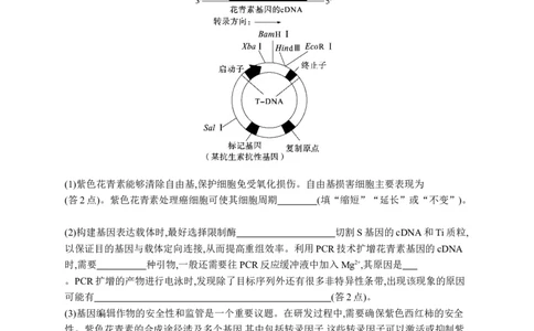 课时规范练60　基因工程的基本工具与操作程序_高中三年全科资料_高中_高中1_2026版《优化设计》新高考版一轮（生物+数学）_2026优化设计一轮复习(生物)_课后习题