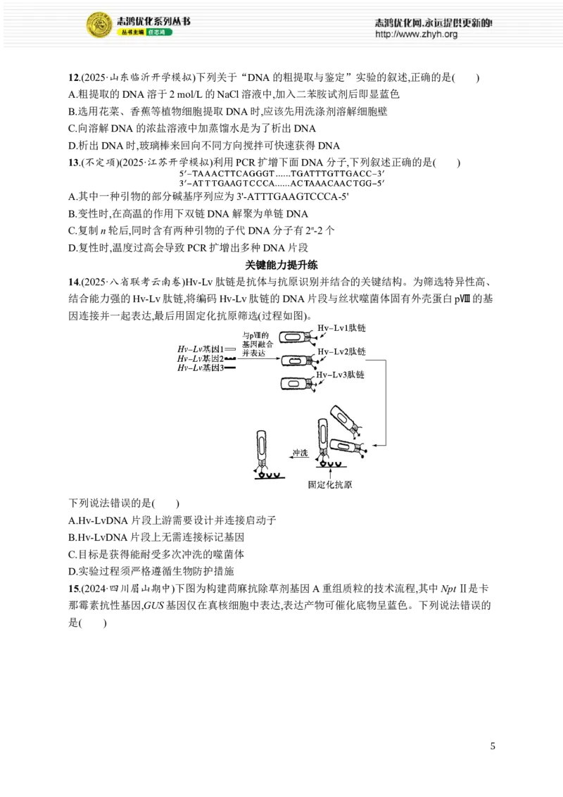 课时规范练60　基因工程的基本工具与操作程序_高中三年全科资料_高中_高中1_2026版《优化设计》新高考版一轮（生物+数学）_2026优化设计一轮复习(生物)_课后习题