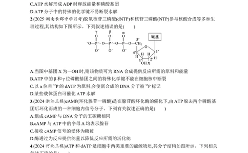 课时规范练11　细胞的能量&ldquo;货币&rdquo;ATP_高中三年全科资料_高中_高中1_2026版《优化设计》新高考版一轮（生物+数学）_2026优化设计一轮复习(生物)_课后习题