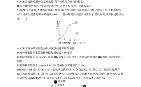 课时规范练11　细胞的能量&ldquo;货币&rdquo;ATP_高中三年全科资料_高中_高中1_2026版《优化设计》新高考版一轮（生物+数学）_2026优化设计一轮复习(生物)_课后习题