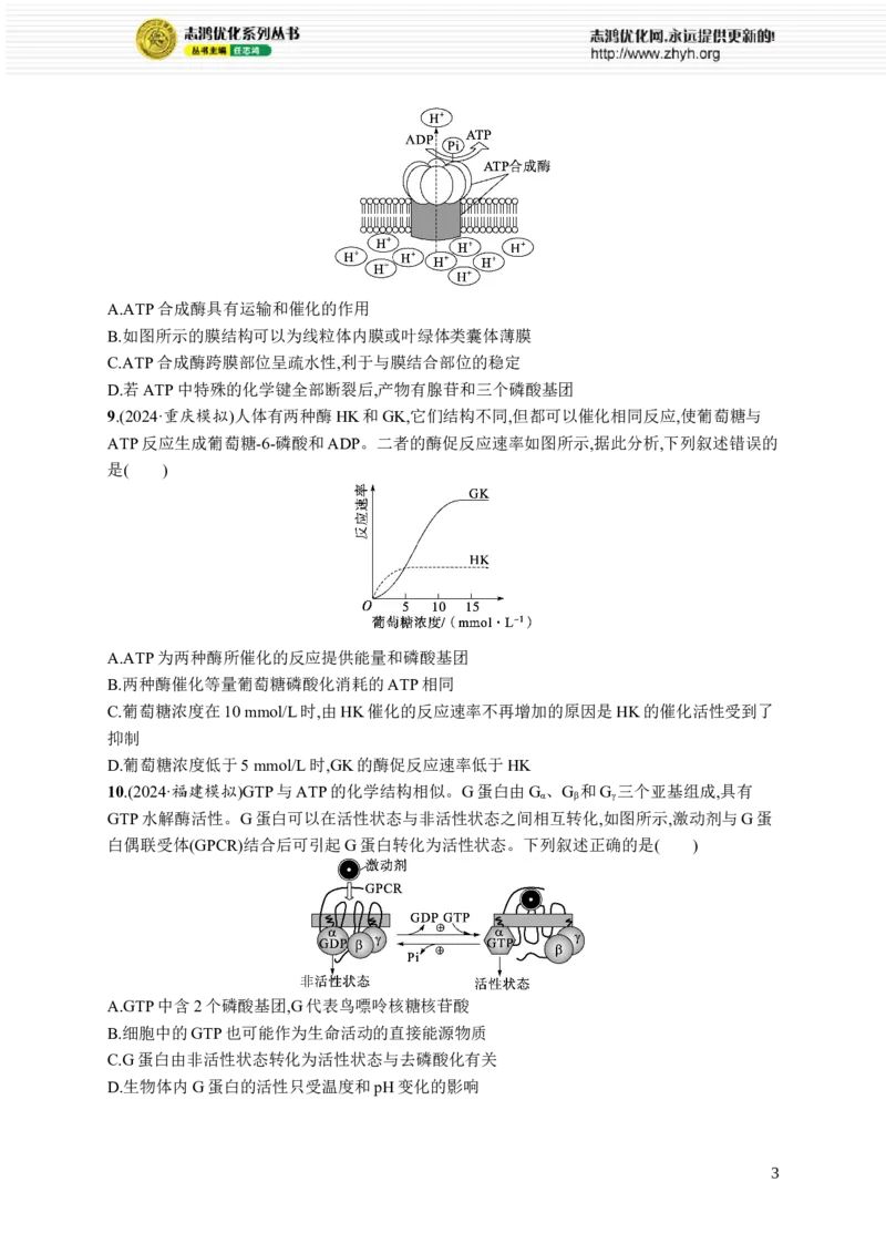 课时规范练11　细胞的能量&ldquo;货币&rdquo;ATP_高中三年全科资料_高中_高中1_2026版《优化设计》新高考版一轮（生物+数学）_2026优化设计一轮复习(生物)_课后习题