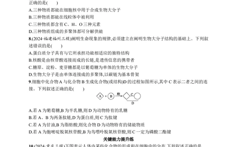 课时规范练4　核酸、生物大分子的多样性_高中三年全科资料_高中_高中1_2026版《优化设计》新高考版一轮（生物+数学）_2026优化设计一轮复习(生物)_课后习题