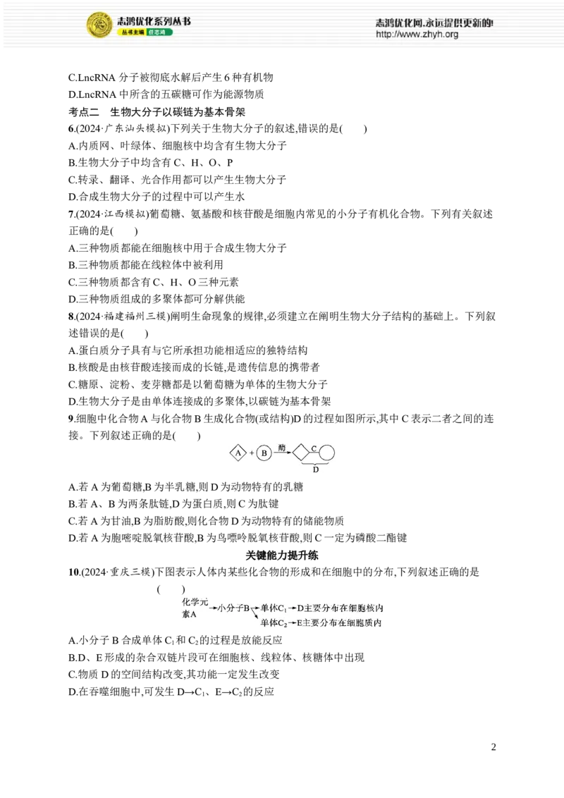 课时规范练4　核酸、生物大分子的多样性_高中三年全科资料_高中_高中1_2026版《优化设计》新高考版一轮（生物+数学）_2026优化设计一轮复习(生物)_课后习题