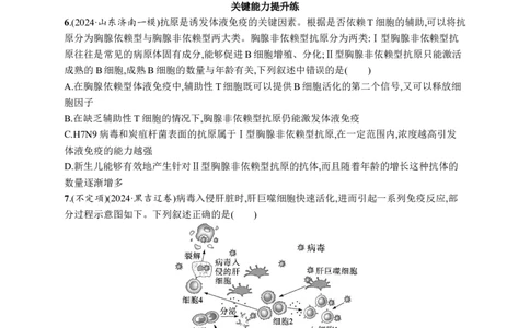 课时规范练41　免疫系统的组成和功能、特异性免疫_高中三年全科资料_高中_高中1_2026版《优化设计》新高考版一轮（生物+数学）_2026优化设计一轮复习(生物)_课后习题