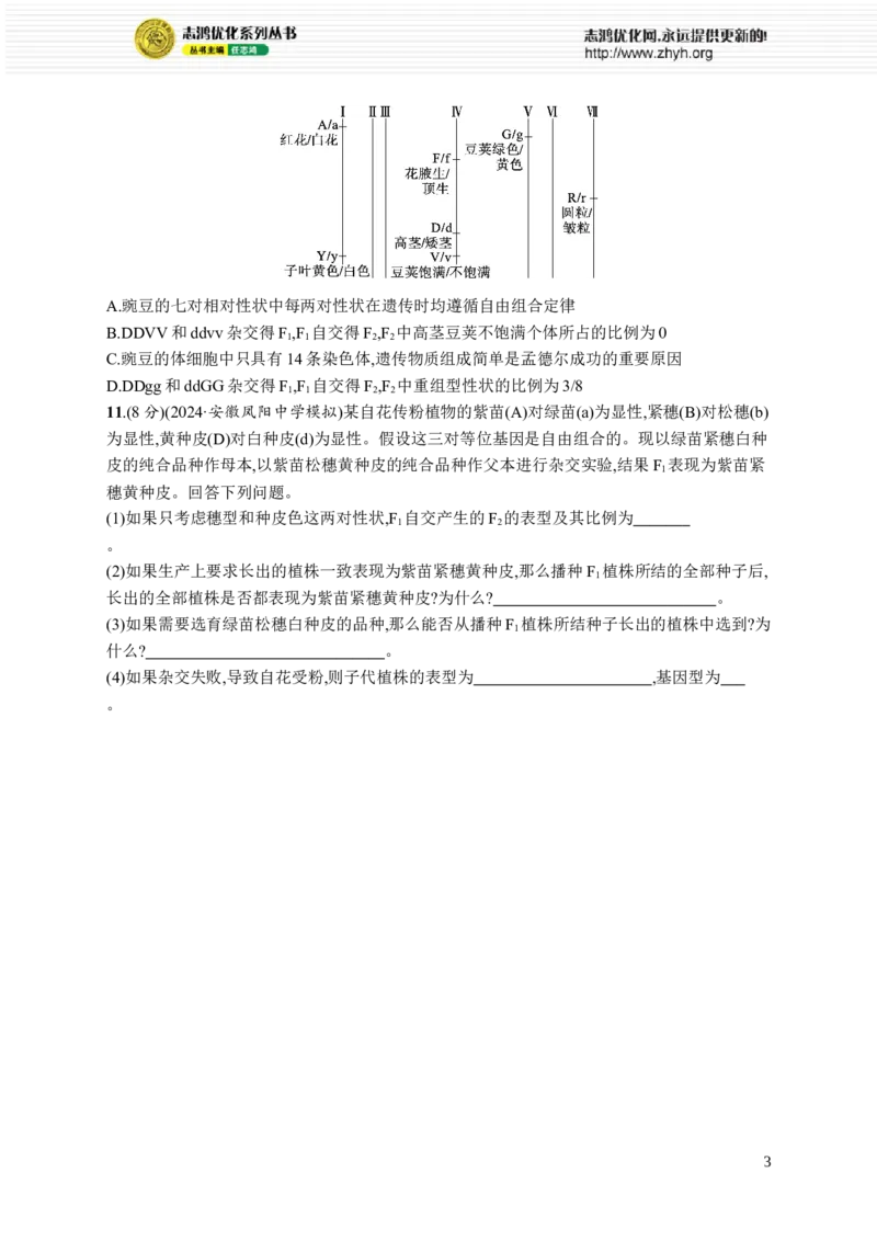 课时规范练24　自由组合定律的发现及应用_高中三年全科资料_高中_高中1_2026版《优化设计》新高考版一轮（生物+数学）_2026优化设计一轮复习(生物)_课后习题