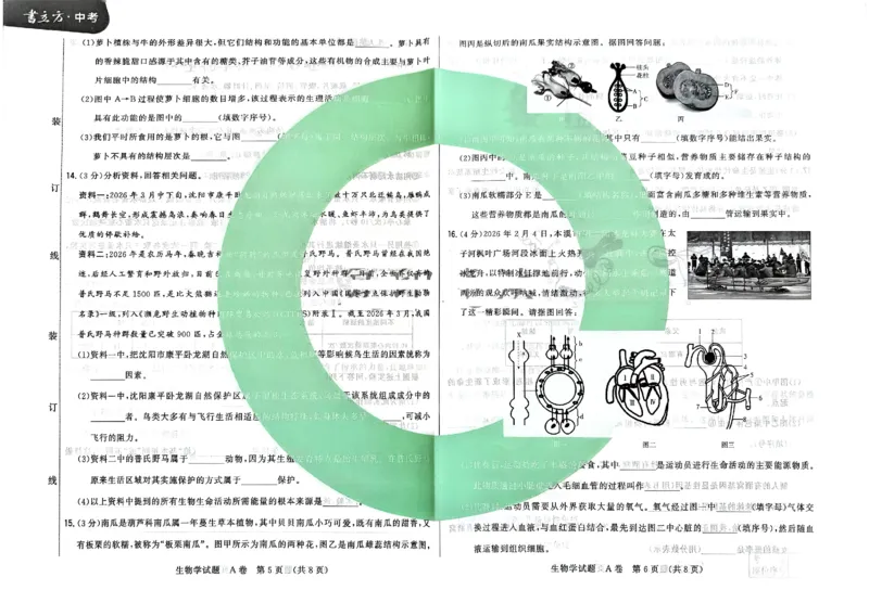 2026《辽宁会考&bull;书立方考前预测》生物_中考押题2026《中考押题》系列（9科全套实时更新中）_2026版中考《书立方考前预测》会考生物地理（辽宁）