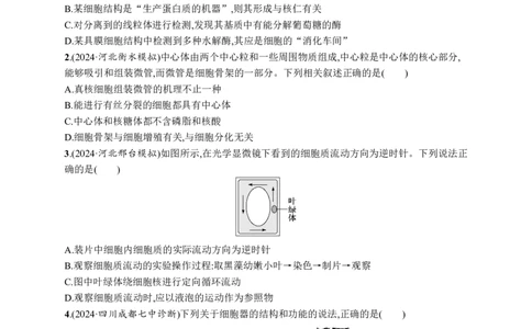 课时规范练6　细胞器与生物膜系统_高中三年全科资料_高中_高中1_2026版《优化设计》新高考版一轮（生物+数学）_2026优化设计一轮复习(生物)_高考总复习优化设计一轮用书生物H配人教版word