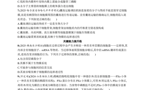 课时规范练6　细胞器与生物膜系统_高中三年全科资料_高中_高中1_2026版《优化设计》新高考版一轮（生物+数学）_2026优化设计一轮复习(生物)_高考总复习优化设计一轮用书生物H配人教版word