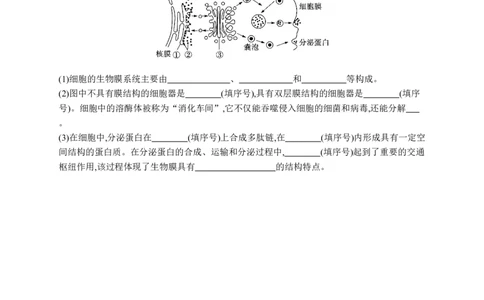 课时规范练6　细胞器与生物膜系统_高中三年全科资料_高中_高中1_2026版《优化设计》新高考版一轮（生物+数学）_2026优化设计一轮复习(生物)_高考总复习优化设计一轮用书生物H配人教版word