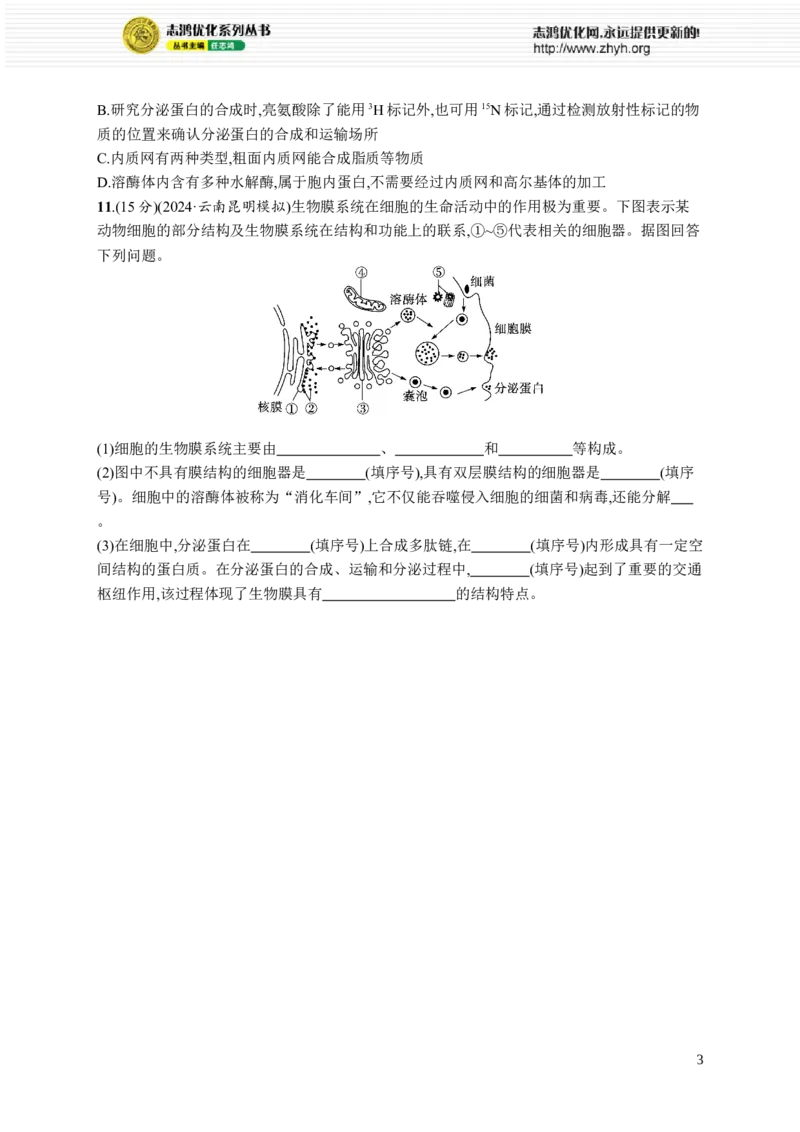 课时规范练6　细胞器与生物膜系统_高中三年全科资料_高中_高中1_2026版《优化设计》新高考版一轮（生物+数学）_2026优化设计一轮复习(生物)_高考总复习优化设计一轮用书生物H配人教版word