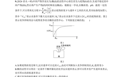 课时规范练10　降低化学反应活化能的酶_高中三年全科资料_高中_高中1_2026版《优化设计》新高考版一轮（生物+数学）_2026优化设计一轮复习(生物)_课后习题