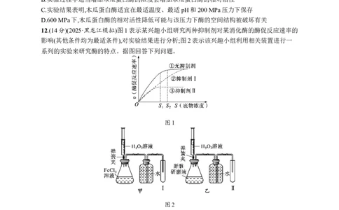 课时规范练10　降低化学反应活化能的酶_高中三年全科资料_高中_高中1_2026版《优化设计》新高考版一轮（生物+数学）_2026优化设计一轮复习(生物)_课后习题