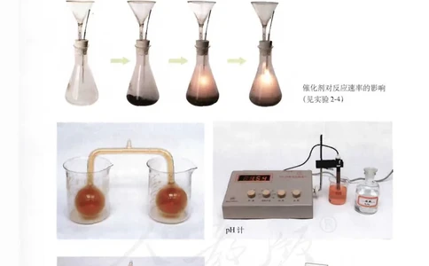 选修4《化学反应原理》_高中三年全科资料_高中_高中电子教材_旧教材_高中化学（人教旧版）