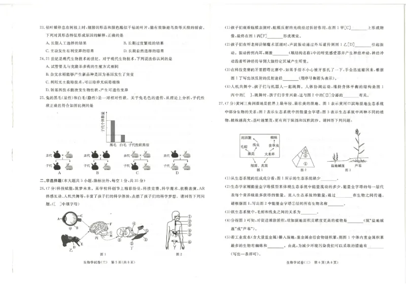 26版中考初中生物《河北启光中考模拟试卷》（含参考答案及评分细则）_中考押题2026《中考押题》系列（9科全套实时更新中）_2026版中考《启光中考模拟试卷6套》物化生地（河北）