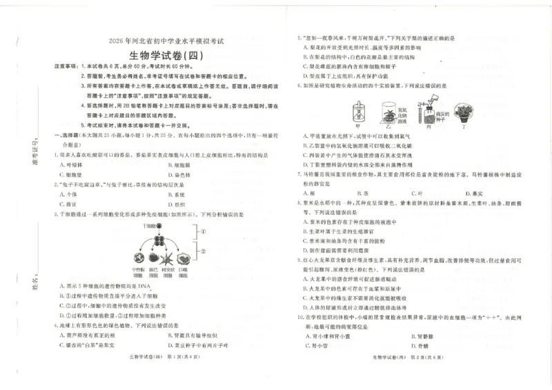 26版中考初中生物《河北启光中考模拟试卷》（含参考答案及评分细则）_中考押题2026《中考押题》系列（9科全套实时更新中）_2026版中考《启光中考模拟试卷6套》物化生地（河北）