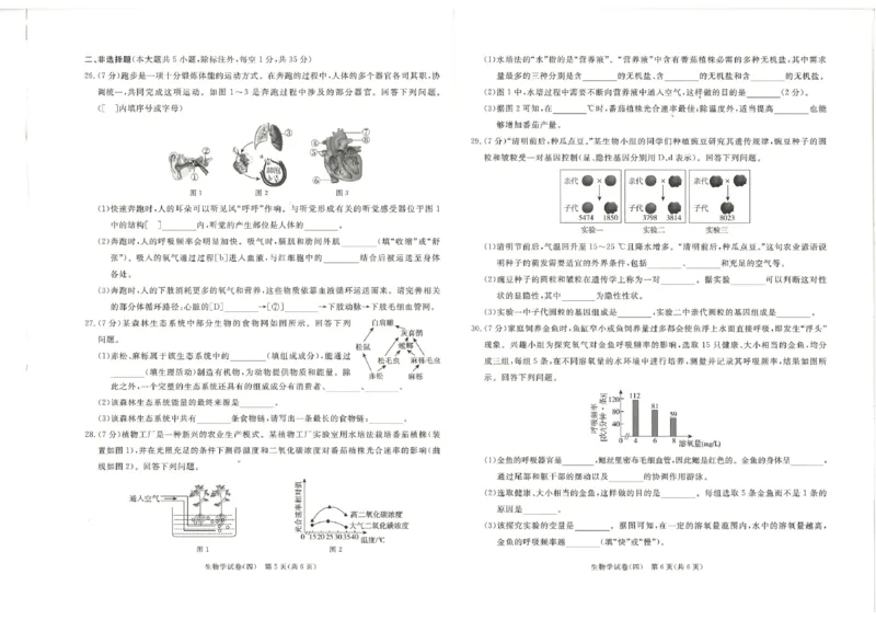 26版中考初中生物《河北启光中考模拟试卷》（含参考答案及评分细则）_中考押题2026《中考押题》系列（9科全套实时更新中）_2026版中考《启光中考模拟试卷6套》物化生地（河北）
