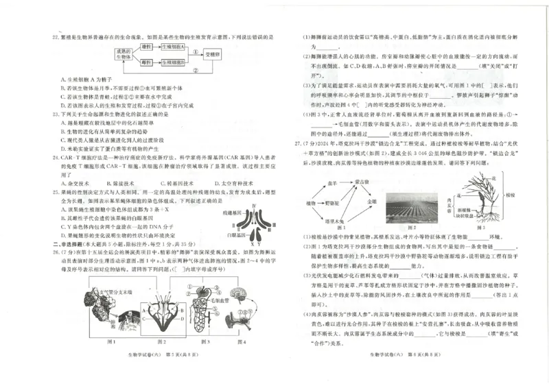 26版中考初中生物《河北启光中考模拟试卷》（含参考答案及评分细则）_中考押题2026《中考押题》系列（9科全套实时更新中）_2026版中考《启光中考模拟试卷6套》物化生地（河北）