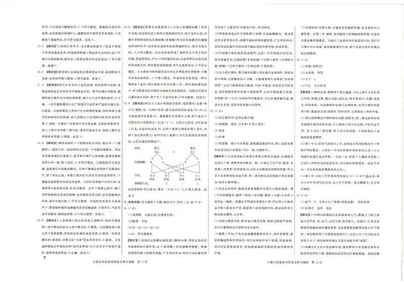 26版中考初中生物《河北启光中考模拟试卷》（含参考答案及评分细则）_中考押题2026《中考押题》系列（9科全套实时更新中）_2026版中考《启光中考模拟试卷6套》物化生地（河北）