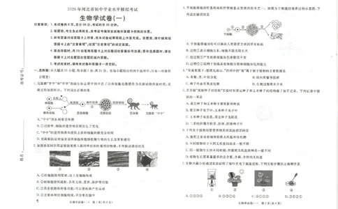 26版中考初中生物《河北启光中考模拟试卷》（含参考答案及评分细则）_中考押题2026《中考押题》系列（9科全套实时更新中）_2026版中考《启光中考模拟试卷6套》物化生地（河北）