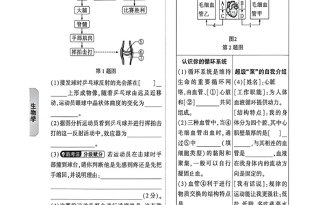 26福建生物定心大题_2026中考押题卷合集_2026《万唯中考黑白卷》地方版_万唯2026版初中《万唯黑白卷》地生（福建）_26福建中考生物