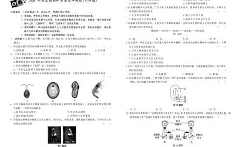 2026黑白卷-白卷2生物_中考押题2026《中考押题》系列（9科全套实时更新中）_万唯2026版初中《万唯黑白卷》地生（河北）