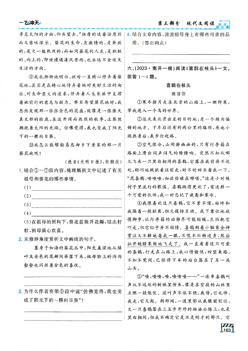 2026版《一飞冲天&middot;中考专项精品试题分类》语文(1)_2026中考押题卷合集_2026新中考中考全科资料