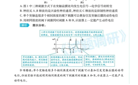 高考生物高频考点&mdash;&mdash;兴奋的产生和传导_高中三年全科资料_高中_1高中基础资料包_A-高中必背9科知识点_生物