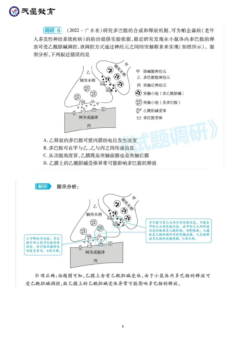 高考生物高频考点&mdash;&mdash;兴奋的产生和传导_高中三年全科资料_高中_1高中基础资料包_A-高中必背9科知识点_生物
