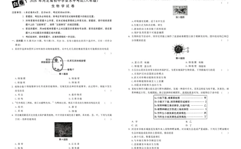 2026黑白卷-白卷1生物_中考押题2026《中考押题》系列（9科全套实时更新中）_万唯2026版初中《万唯黑白卷》地生（河北）