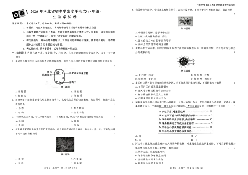 2026黑白卷-白卷1生物_中考押题2026《中考押题》系列（9科全套实时更新中）_万唯2026版初中《万唯黑白卷》地生（河北）