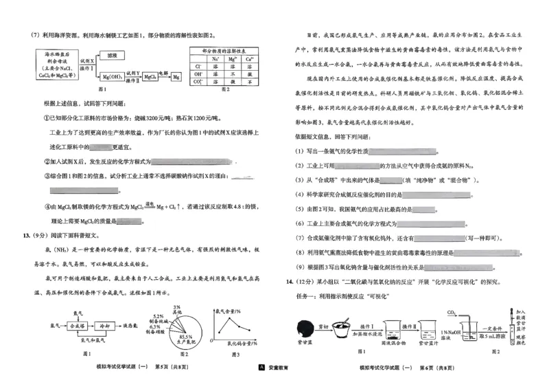 26化学安童中考模拟试卷_中考押题2026《中考押题》系列（9科全套实时更新中）_2026版初中《安童中考模拟试卷》7科全套（辽宁）_26《安童中考模拟试卷》化学