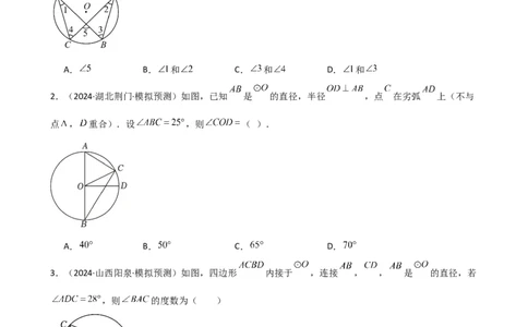 专题24.7圆周角（精选精练）（专项练习）-（人教版）_人教版数学九年级上册_版本二_九年级数学上册（人教版）_专题突破练习-V4_2025版