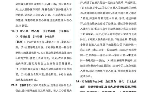 卷15-20_2026中考押题卷合集_2026新中考中考全科资料_2026《中考生物&bull;必刷真题分类》主书+答案