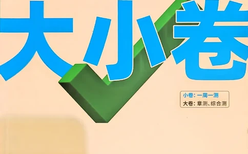 九年级全一册物理人教&mdash;&mdash;大卷_2026中考押题卷合集_2026新中考中考全科资料_2026版大小卷&bull;人教版物理&bull;9年级全一册