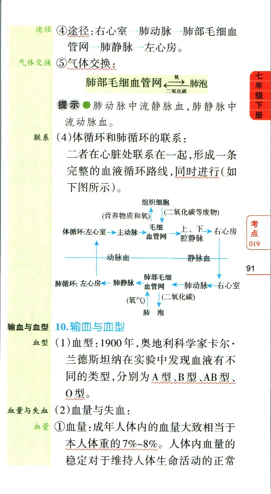 加分宝初中生物考点清单_中考押题2026《中考押题》系列（9科全套实时更新中）_中考9科加分宝