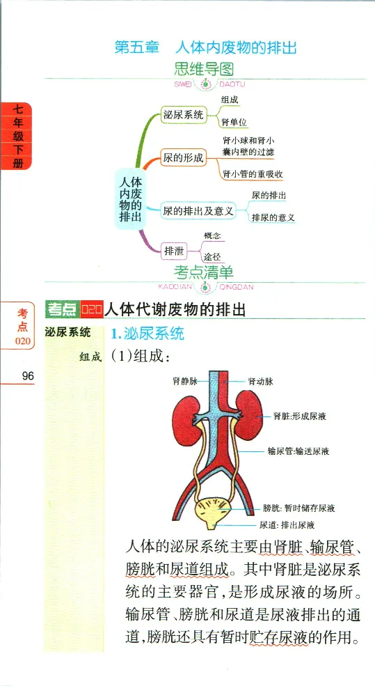 加分宝初中生物考点清单_中考押题2026《中考押题》系列（9科全套实时更新中）_中考9科加分宝