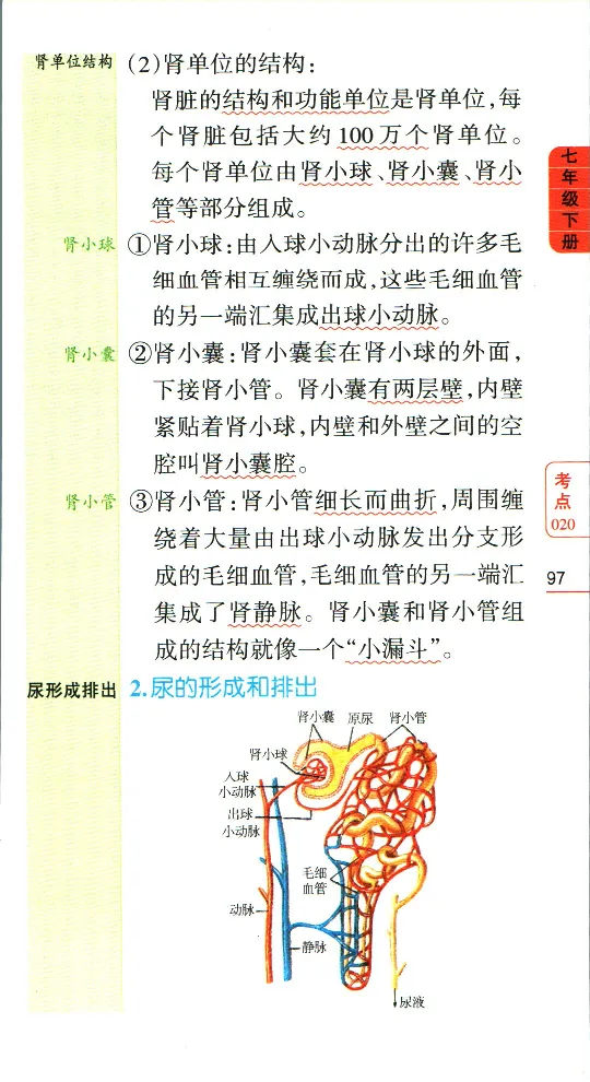 加分宝初中生物考点清单_中考押题2026《中考押题》系列（9科全套实时更新中）_中考9科加分宝